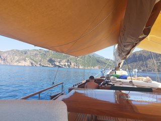 Gallery image 12