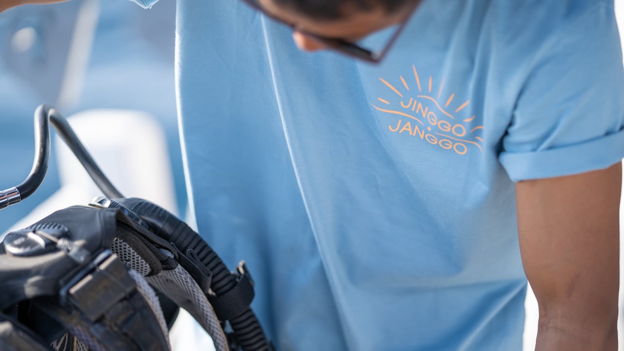 JINGGO JANGGA - image 33