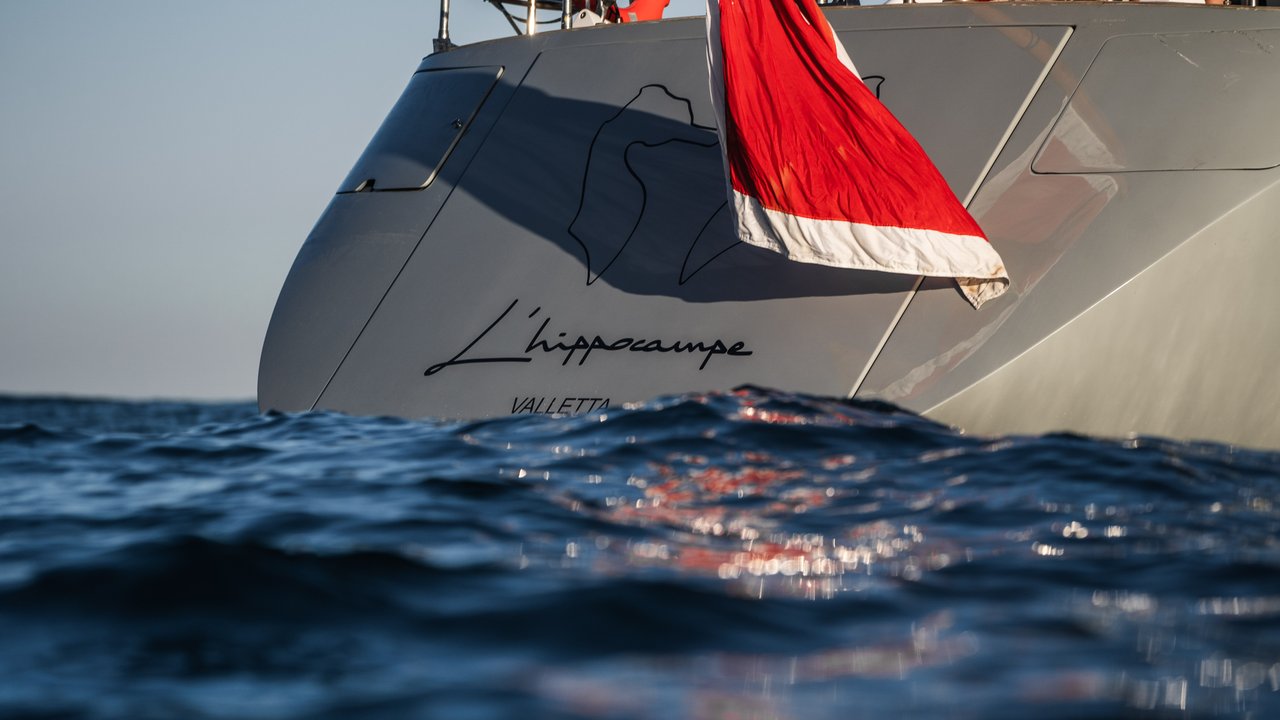 L'HIPPOCAMPE gallery image