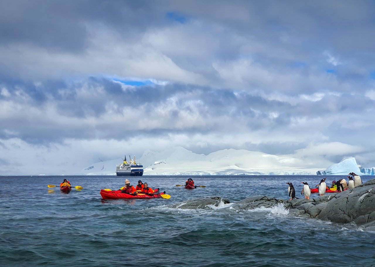 OCEAN NOVA - image 39