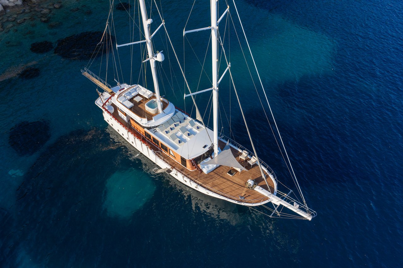 PHOENIX BRONZE - image 9