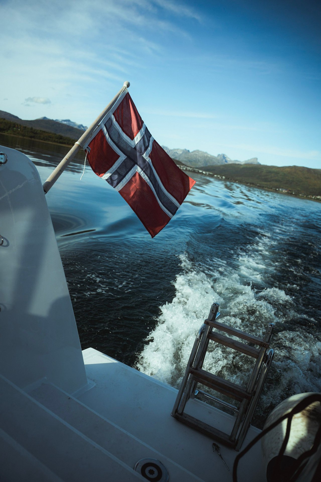 ARCTIC WONDER - image 28