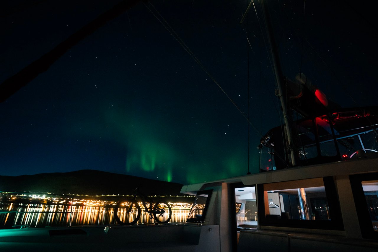 ARCTIC WONDER - image 26