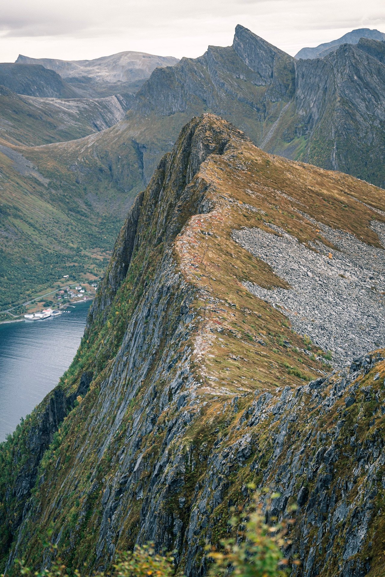 ARCTIC WONDER - image 27