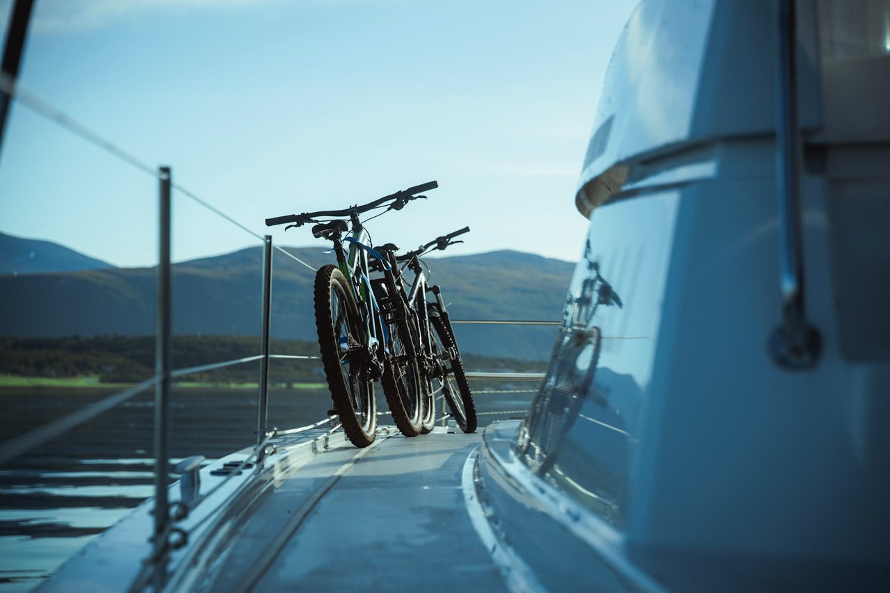 ARCTIC WONDER - image 29