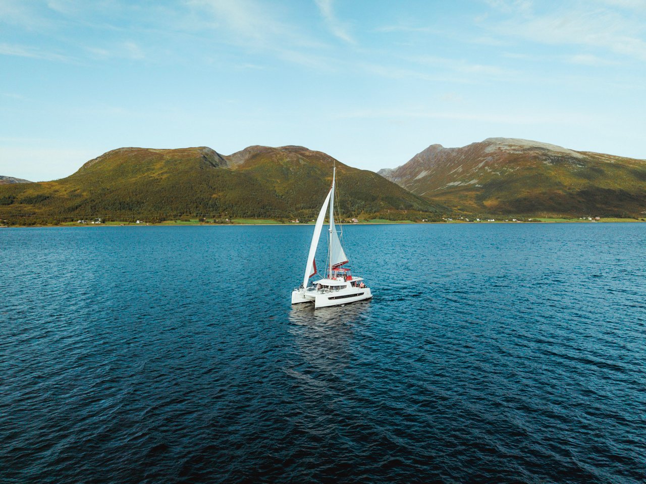 ARCTIC WONDER - image 30
