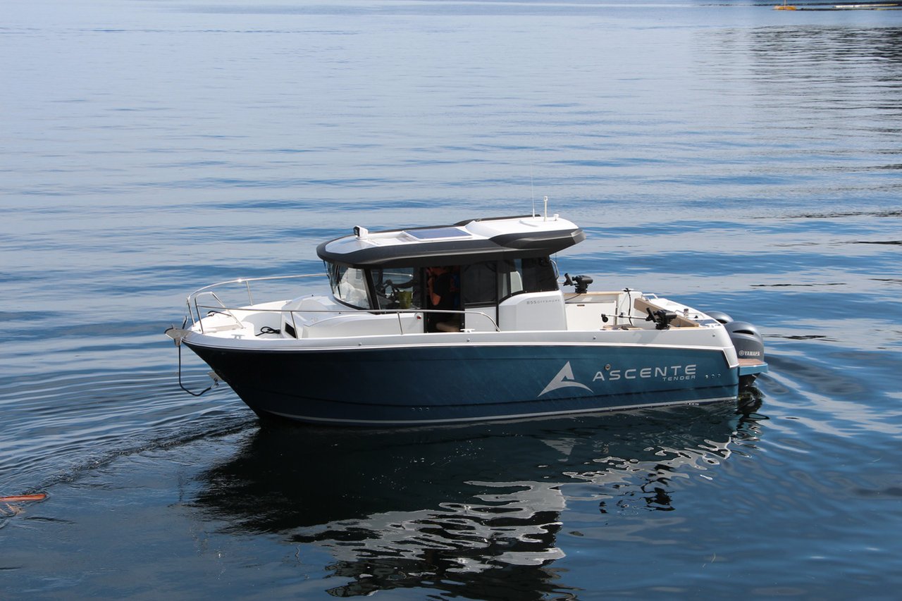 ASCENTE - image 37