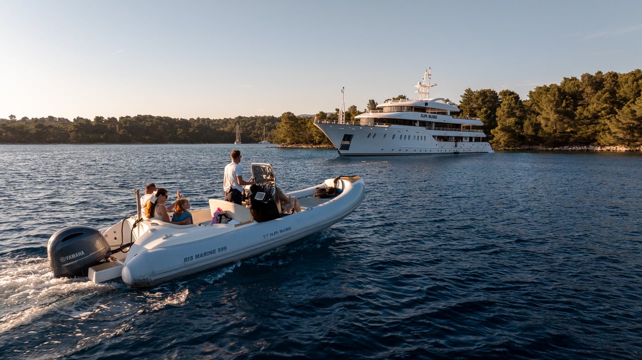 ALFA MARIO - image 15
