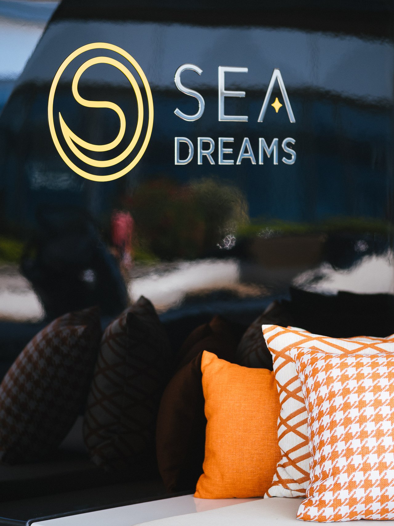 SEA DREAMS - image 11