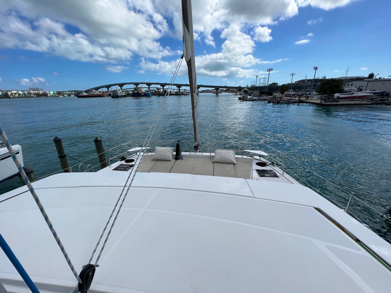 KITTIWAKE - image 14
